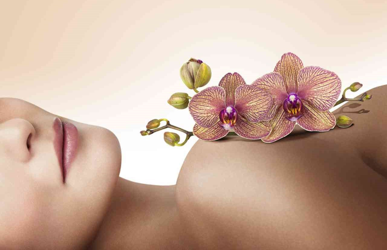 Bienestar y Belleza