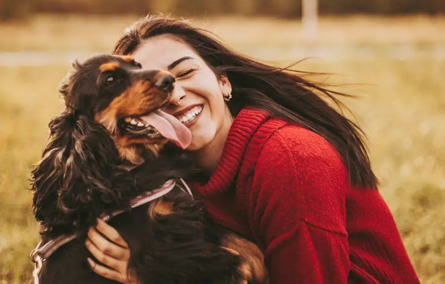 Pets Lovers